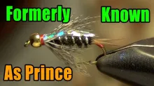Video thumb for Formerly Known As Prince Nymph