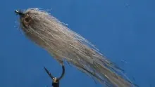 Video thumb for Sandy Darter