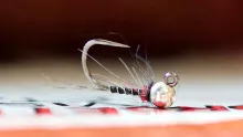 Video thumb for Open Wound Jig Nymph