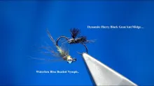 Video thumb for Dynamite Harry Black Gnat & CDC Waterhen Bloa Euro Nymph