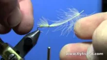 Video thumb for Biot Paraloop Yellow Sally