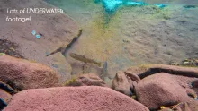 Video thumb for Small Creek Fishing