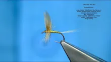 Video thumb for Yellow May