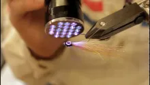 Video thumb for Classic Minnow
