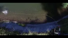 Video thumb for Brown Trout Eats