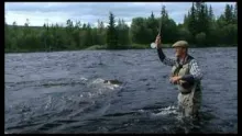 Video thumb for Dry Fly Trailer