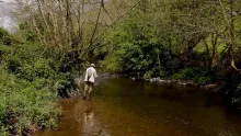 Video thumb for A wild stream in low water