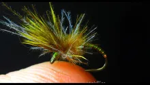 Video thumb for Spring Hatching Olive