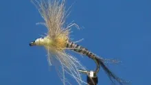 Video thumb for Snowshoe Sulpher Emerger