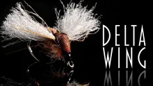 Video thumb for Delta Wing