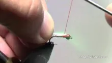 Video thumb for Tie-Dyed Baetis Nymph