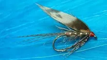 Video thumb for The March Brown (WetFly)