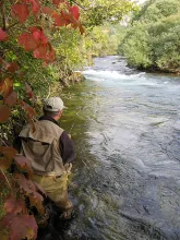 User submitted picture: "Approach ! "by www.gui...