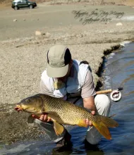 User submitted picture: A good moment of amusemen...