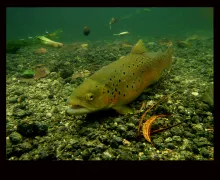 User submitted picture: relaxation