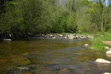 User submitted picture: "Great shoal" in Akmena...