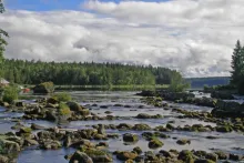 User submitted picture: From the streams of Stavr...