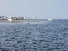 User submitted picture: A patient angler waits fo...