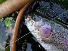 User submitted picture: Summer rainbow 