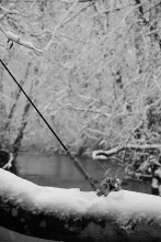 User submitted picture: Springtime with snow and ...