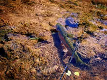 User submitted picture: Even not fear