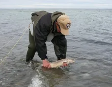 User submitted picture: Releasing a nice, colored...