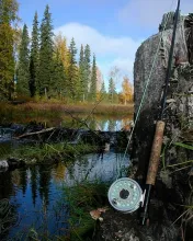 User submitted picture: Home Waters