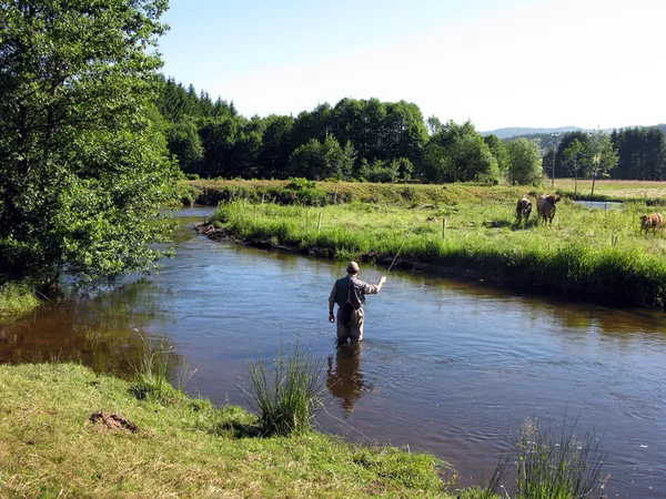 User submitted picture: "Lovely France , where i...