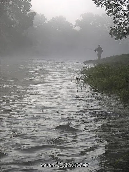 User submitted picture: Troutfishing in EmÃ¥n