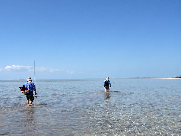 User submitted picture: Figen and Alfsen in searc...