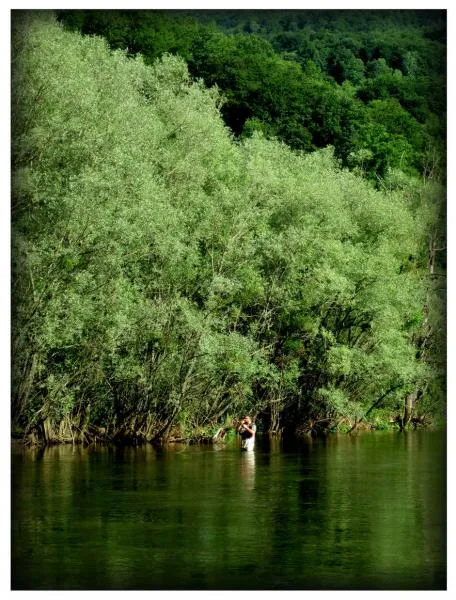 User submitted picture: Lost in green paradise