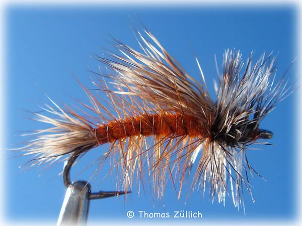 User submitted picture: Kaufmanns Stimulator