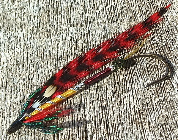 User submitted picture: Good Morning Fontinallis