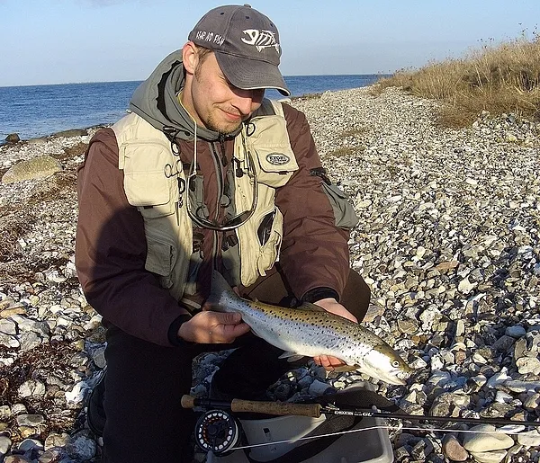 User submitted picture: Beautiful Seatrout on a s...
