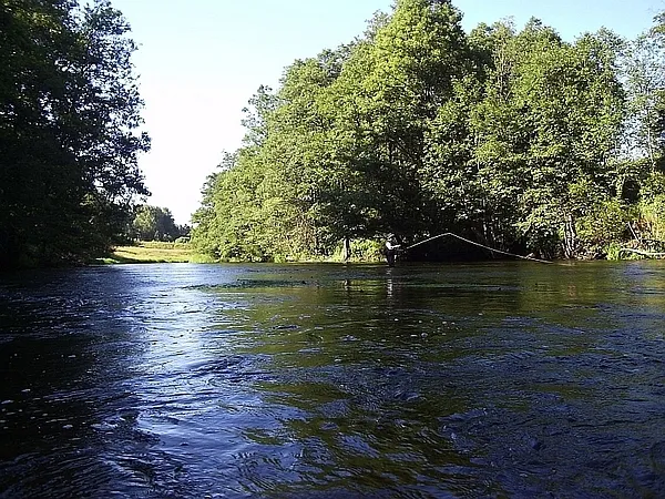 User submitted picture: Nigel Ruckley nymphing da...