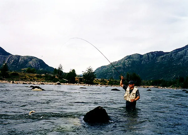 User submitted picture: Catching a trout hidden b...