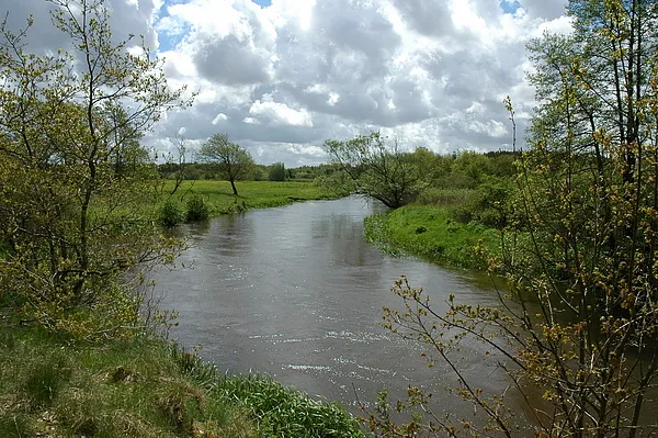 User submitted picture: Spring and fresh run Salm...