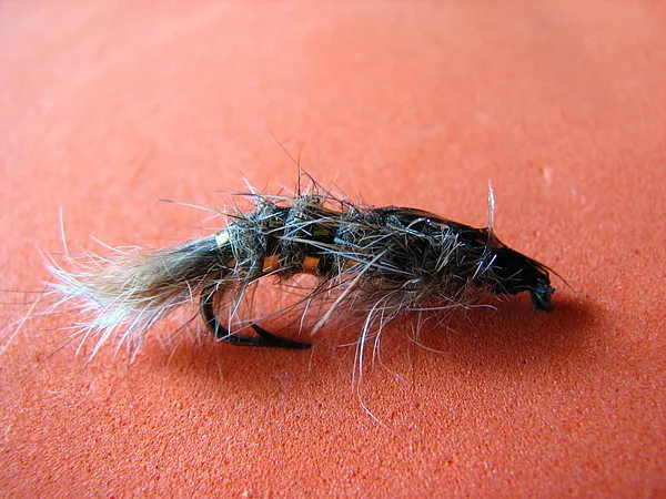 User submitted picture: The classic Hare's Ear N...