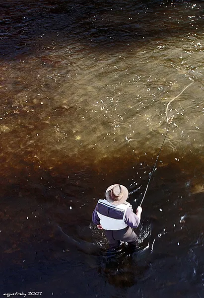 User submitted picture: Slovakia, river Poprad