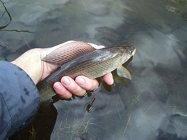 User submitted picture: Shaking hands with my fav...