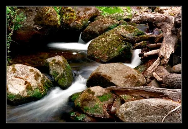 User submitted picture: Arroyo Catritre, San Mart...