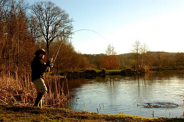 User submitted picture: "in action"