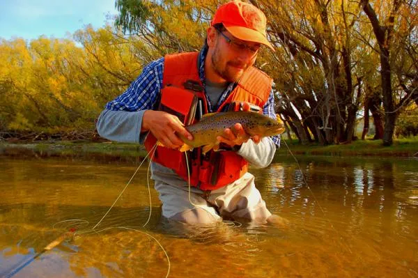 User submitted picture: Peter and his autumn brow...